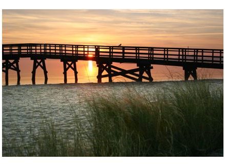 Sunset behind a bridge looking through grass on a beach
